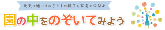 園の中をのぞいてみよう